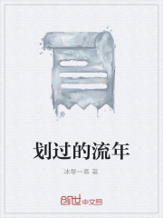 划过的流年