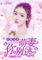 总裁追妻,萌妻你别逃