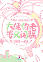 大佬,你老婆又闯祸了