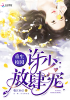 重生校园:许少,放肆宠