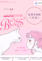 快穿：不是BOSS的BOOS