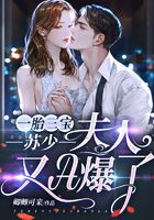 一胎三宝：苏少，夫人又A爆了！