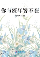 你与流年皆不在