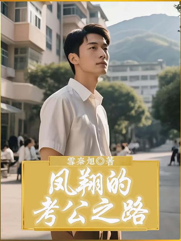 凤翔的考公之路