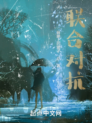 联合对抗