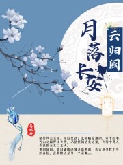 月落长安云归阙